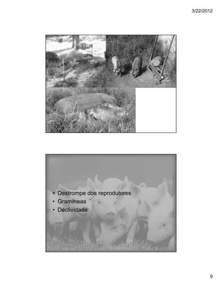 3/22/2012




• Destrompe dos reprodutores
• Gramíneas
• Declividade




                                      9
 
