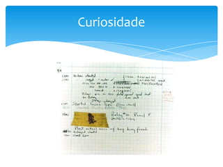Curiosidade
 