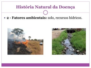 História Natural da Doença
 2 - Fatores ambientais: solo, recursos hídricos.
 