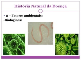 História Natural da Doença
 2 – Fatores ambientais:
-Biológicos:
 
