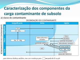 Caracterização dos componentes da
carga contaminante de subsolo

 