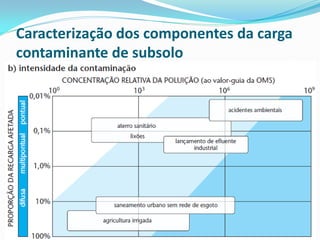 Caracterização dos componentes da carga
contaminante de subsolo

 