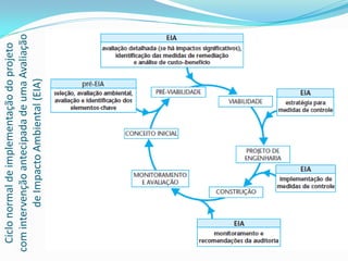 Ciclo normal de implementação do projeto
com intervenção antecipada de uma Avaliação
de Impacto Ambiental (EIA)

 