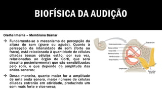 BIOFÍSICA DA AUDIÇÃO
Orelha Interna – Membrana Basilar
→ Fundamenta-se o mecanismo de percepção da
altura do som (grave ou agudo). Quanto à
percepção da intensidade do som (forte ou
fraco), está relacionada à quantidade de células
ciliadas (essas células estão, por sua vez,
relacionadas ao órgão de Corti, que será
descrito posteriormente) que são sensibilizadas
pelo som, o que depende da amplitude das
ondas sonoras;
→ Dessa maneira, quanto maior for a amplitude
de uma onda sonora, maior número de células
ciliadas entrarão em atividade, produzindo um
som mais forte e vice-versa;
 