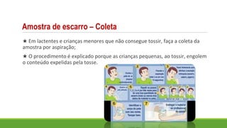 ★ Em lactentes e crianças menores que não consegue tossir, faça a coleta da
amostra por aspiração;
★ O procedimento é explicado porque as crianças pequenas, ao tossir, engolem
o conteúdo expelidas pela tosse.
Amostra de escarro – Coleta
 