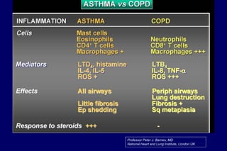 Professor Peter J. Barnes, MD
National Heart and Lung Institute, London UK
 