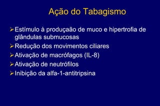 Ação do Tabagismo
Estímulo à produçaão de muco e hipertrofia de
glândulas submucosas
Redução dos movimentos ciliares
Ativação de macrófagos (IL-8)
Ativação de neutrófilos
Inibição da alfa-1-antitripsina
 