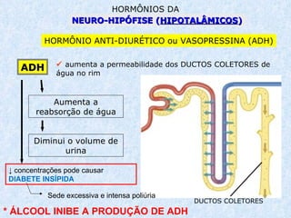 NEURO- HIPÓFISE ( HIPOTALÂMICOS ) HORMÔNIOS DA HORMÔNIO ANTI-DIURÉTICO ou VASOPRESSINA (ADH) ADH    aumenta a permeabilidade dos DUCTOS COLETORES de água no rim Aumenta a reabsorção de água DUCTOS COLETORES Diminui o volume de urina ↓ concentrações pode causar  DIABETE INSÍPIDA Sede excessiva e intensa poliúria * ÁLCOOL INIBE A PRODUÇÃO DE ADH 