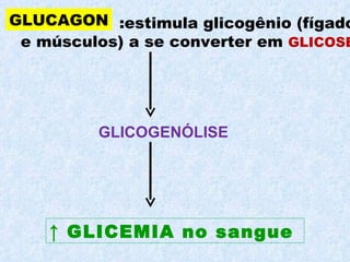 GLUCAGON :estimula glicogênio (fígado e músculos) a se converter em  GLICOSE   ↑  GLICEMIA no sangue  GLICOGENÓLISE   