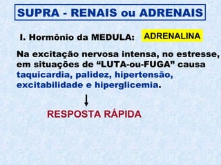 I. Hormônio da MEDULA: Na excitação nervosa intensa, no estresse, em situações de “LUTA-ou-FUGA” causa taquicardia, palidez, hipertensão, excitabilidade e hiperglicemia . SUPRA - RENAIS ou ADRENAIS ADRENALINA RESPOSTA RÁPIDA 