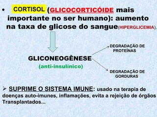 ( GLICOCORTICÓIDE  mais importante no ser humano): aumento na taxa de glicose do sangue ( HIPERGLICEMIA ).   CORTISOL GLICONEOGÊNESE (anti-insulínico) DEGRADAÇÃO DE  PROTEÍNAS  DEGRADAÇÃO DE GORDURAS  SUPRIME O SISTEMA IMUNE :  usado na terapia de  doenças auto-imunes, inflamações, evita a rejeição de órgãos  Transplantados... 