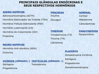PRINCIPAIS GLÂNDULAS ENDÓCRINAS E  SEUS RESPECTIVOS HORMÔNIOS ADENO-HIPÓFISE  Prolactina Hormônio do Crescimento (GH) Adrenocorticotropina (ACTH) Hormônio Estimulador da Tireóide (TSH) Hormônio Folículo Estimulante (FSH) Hormônio Luteinizante (LH) NEURO -HIPÓFISE  Hormônio Anti-diurético (ADH )   O c itocina ADRENAL Cortisol Aldosterona Catecolaminas TIREÓIDE Tiroxina (T4) Triiodotiroxina (T3) Calcitonina PARATIREÓIDE Paratormônio PÂNCREAS Insulina Glucagon  OVÁRIOS  (GÔNADA♀) Estrógeno Progesterona TESTÍCULOS  (GÔNADA ♂) Testosterona PLACENTA Gonadotropina Coriônica  Estrógeno Progesterona  Somato mamo tropina 