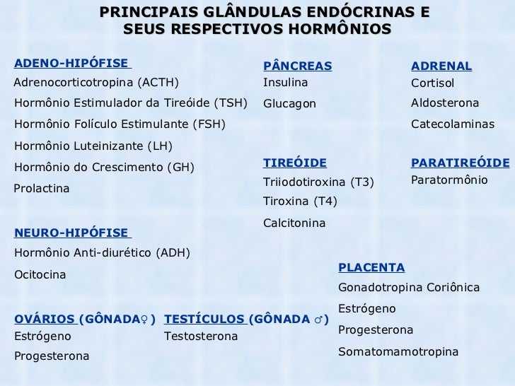 Quimica sanguinea Quimica sanguinea
