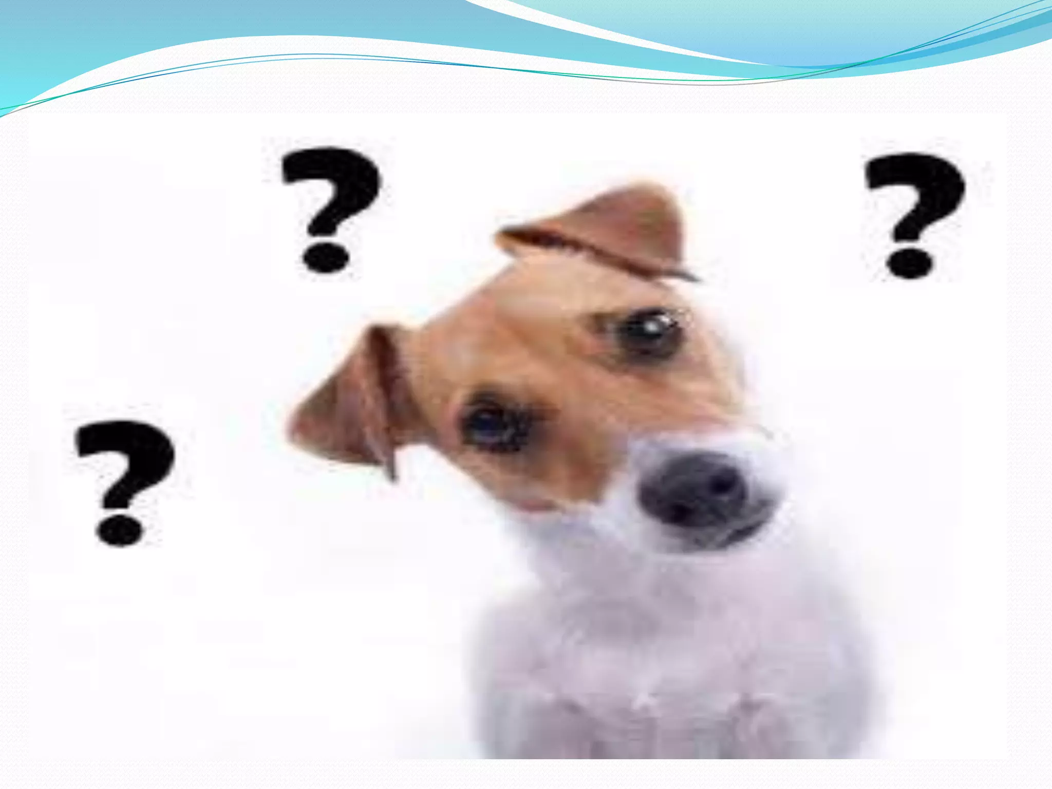 Aula 10 - Exclusão Mútua e Região Crítica