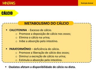 Nutrição Animal
CÁLCIO
MINERAIS
 CALCITONINA - Excesso de cálcio.
o Promove a deposição de cálcio nos ossos;
o Elimina o cálcio na urina;
o Inibe a absorção pelo intestino.
 PARATORMÔNIO – deficiência de cálcio.
o Promove a liberação de cálcio dos ossos;
o Diminui a excreção de cálcio na urina;
o Estimula a absorção pelo intestino.
METABOLISMO DO CÁLCIO
 Oxalatos afetam a disponibilidade de cálcio na dieta.
 