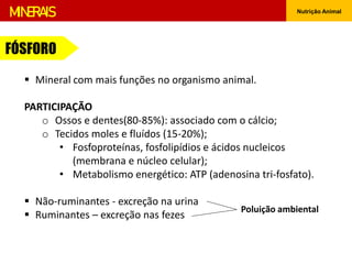 Nutrição Animal
FÓSFORO
MINERAIS
 Mineral com mais funções no organismo animal.
PARTICIPAÇÃO
o Ossos e dentes(80-85%): associado com o cálcio;
o Tecidos moles e fluídos (15-20%);
• Fosfoproteínas, fosfolipídios e ácidos nucleicos
(membrana e núcleo celular);
• Metabolismo energético: ATP (adenosina tri-fosfato).
 Não-ruminantes - excreção na urina
 Ruminantes – excreção nas fezes
Poluição ambiental
 