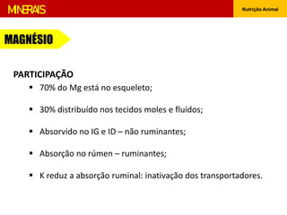 Nutrição Animal
MINERAIS
MAGNÉSIO
 70% do Mg está no esqueleto;
 30% distribuído nos tecidos moles e fluídos;
 Absorvido no IG e ID – não ruminantes;
 Absorção no rúmen – ruminantes;
 K reduz a absorção ruminal: inativação dos transportadores.
PARTICIPAÇÃO
 