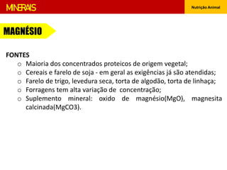 Nutrição Animal
MINERAIS
FONTES
o Maioria dos concentrados proteicos de origem vegetal;
o Cereais e farelo de soja - em geral as exigências já são atendidas;
o Farelo de trigo, levedura seca, torta de algodão, torta de linhaça;
o Forragens tem alta variação de concentração;
o Suplemento mineral: oxido de magnésio(MgO), magnesita
calcinada(MgCO3).
MAGNÉSIO
 