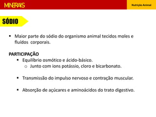 Nutrição Animal
MINERAIS
 Maior parte do sódio do organismo animal tecidos moles e
fluídos corporais.
PARTICIPAÇÃO
 Equilíbrio osmótico e ácido-básico.
o Junto com ions potássio, cloro e bicarbonato.
 Transmissão do impulso nervoso e contração muscular.
 Absorção de açúcares e aminoácidos do trato digestivo.
SÓDIO
 