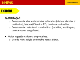 Nutrição Animal
MINERAIS
ENXOFRE
PARTICIPAÇÃO
o Componente dos aminoácidos sulfurados (cistina, cisteína e
metionina), biotina (Vitamina B7), tiamina e da insulina
o Componente estrutural condroitina (tendões, cartilagens,
ossos e vasos sanguíneos).
 Maior ingestão na forma de proteínas.
o Uso de NNP: adição de enxofre nessas dietas.
 