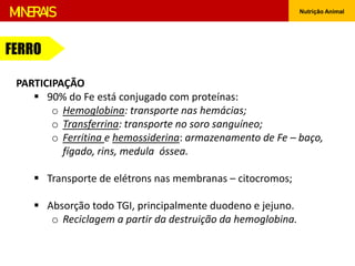 Nutrição Animal
MINERAIS
PARTICIPAÇÃO
 90% do Fe está conjugado com proteínas:
o Hemoglobina: transporte nas hemácias;
o Transferrina: transporte no soro sanguíneo;
o Ferritina e hemossiderina: armazenamento de Fe – baço,
fígado, rins, medula óssea.
 Transporte de elétrons nas membranas – citocromos;
 Absorção todo TGI, principalmente duodeno e jejuno.
o Reciclagem a partir da destruição da hemoglobina.
FERRO
 
