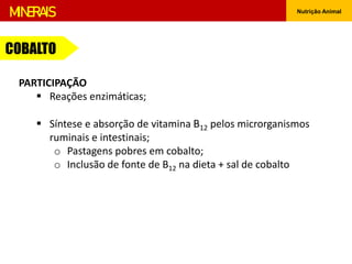 Nutrição Animal
MINERAIS
COBALTO
PARTICIPAÇÃO
 Reações enzimáticas;
 Síntese e absorção de vitamina B12 pelos microrganismos
ruminais e intestinais;
o Pastagens pobres em cobalto;
o Inclusão de fonte de B12 na dieta + sal de cobalto
 