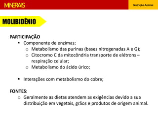 Nutrição Animal
MINERAIS
MOLIBIDÊNIO
PARTICIPAÇÃO
 Componente de enzimas;
o Metabolismo das purinas (bases nitrogenadas A e G);
o Citocromo C da mitocôndria transporte de elétrons –
respiração celular;
o Metabolismo do ácido úrico;
 Interações com metabolismo do cobre;
FONTES:
o Geralmente as dietas atendem as exigências devido a sua
distribuição em vegetais, grãos e produtos de origem animal.
 