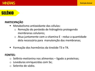 Nutrição Animal
MINERAIS
SELÊNIO
PARTICIPAÇÃO
 Metabolismo antioxidante das células:
o Remoção do peróxido de hidrogênio protegendo
membranas celulares;
o Atua juntamente com a vitamina E - reduz a quantidade
dela necessária para manutenção das membranas;
 Formação dos hormônios da tireóide T3 e T4.
FONTES:
o Selênio-metionina nos alimentos – ligado a proteínas;
o Leveduras enriquecidas com Se;
o Selenito de sódio.
 