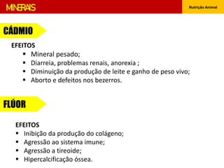 Nutrição Animal
MINERAIS
CÁDMIO
EFEITOS
 Mineral pesado;
 Diarreia, problemas renais, anorexia ;
 Diminuição da produção de leite e ganho de peso vivo;
 Aborto e defeitos nos bezerros.
FLÚOR
EFEITOS
 Inibição da produção do colágeno;
 Agressão ao sistema imune;
 Agressão a tireoide;
 Hipercalcificação óssea.
 