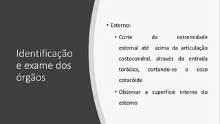Identificação
e exame dos
órgãos
• Esterno:
• Corte da extremidade
esternal até acima da articulação
costocondral, através da entrada
torácica, cortando-se o osso
coracóide
• Observar a superfície interna do
esterno
 