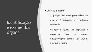 Identificação
e exame dos
órgãos
• Coração e fígado
• A junção do saco pericárdico ao
esterno é rompida e o esterno
removido
• Coração e fígado são expostos e
amostras para o exame
bacteriológico podem ser tiradas
usando-se suabe
 