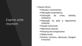 Exame ante
mortem
• Exame clínico
 Atitude e movimentos
 Alterações respiratórias
 Coloração da crista, barbela,
metatarso
 Alteração na pele e tegumentos
cutâneos
 Estado nutricional
 Aberturas naturais
 Presença de ectoparasitas
 Globo ocular
 Outros: tumores, abscessos, bicagem
e traumas
 