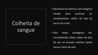 Colheita de
sangue
• Para teste em lâminas com antígeno
corado para pulorose ou
micoplasmose: colher da veia da
asa ou da crista
• Para testes sorológicos (HI,
imunodifusão, Elisa): colher da veia
da asa ou punção cardíaca (pode
causar morte da ave)
 