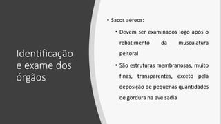 Identificação
e exame dos
órgãos
• Sacos aéreos:
• Devem ser examinados logo após o
rebatimento da musculatura
peitoral
• São estruturas membranosas, muito
finas, transparentes, exceto pela
deposição de pequenas quantidades
de gordura na ave sadia
 