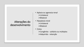 Alterações do
desenvolvimento
• Aplasia ou agenesia renal
Unilateral
Bilateral
• Hipoplasia renal
Unilateral
Bilateral
• Cistos
Congênito - solitário ou múltiplos
Adquirido - retenção
 