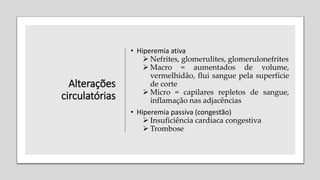 Alterações
circulatórias
• Hiperemia ativa
 Nefrites, glomerulites, glomerulonefrites
 Macro = aumentados de volume,
vermelhidão, flui sangue pela superfície
de corte
 Micro = capilares repletos de sangue,
inflamação nas adjacências
• Hiperemia passiva (congestão)
 Insuficiência cardíaca congestiva
 Trombose
 