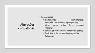 Alterações
circulatórias
• Hemorragias
• Bacterianas (salmonelose,
erisipela, clostridiose, leptospirose)
• Virais (peste suína, febre catarral
maligna)
• Tóxicas (dicumarínicos, veneno de cobra)
• Deficiência de fatores de coagulação
• Petequias
 