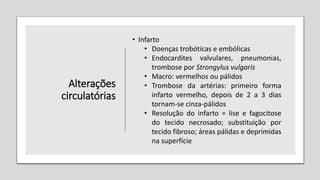 Alterações
circulatórias
• Infarto
• Doenças trobóticas e embólicas
• Endocardites valvulares, pneumonias,
trombose por Strongylus vulgaris
• Macro: vermelhos ou pálidos
• Trombose da artérias: primeiro forma
infarto vermelho, depois de 2 a 3 dias
tornam-se cinza-pálidos
• Resolução do infarto = lise e fagocitose
do tecido necrosado; substituição por
tecido fibroso; áreas pálidas e deprimidas
na superfície
 
