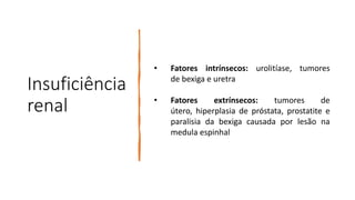 Insuficiência
renal
• Fatores intrínsecos: urolitíase, tumores
de bexiga e uretra
• Fatores extrínsecos: tumores de
útero, hiperplasia de próstata, prostatite e
paralisia da bexiga causada por lesão na
medula espinhal
 