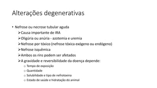 Alterações degenerativas
• Nefrose ou necrose tubular aguda
Causa importante de IRA
Oligúria ou anúria - azotemia e uremia
Nefrose por tóxico (nefrose tóxica exógeno ou endógeno)
Nefrose isquêmica
Ambos os rins podem ser afetados
A gravidade e reversibilidade da doença depende:
o Tempo de exposição
o Quantidade
o Solubilidade e tipo de nefrotoxina
o Estado de saúde e hidratação do animal
 