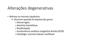 Alterações degenerativas
• Nefrose ou necrose isquêmica
 Ocorrem quando há hipotensão grave:
oHemorragias
oAnemias hemolíticas
oDesidratação
oInsufuciência cardíaca congestiva direita (ICCD)
oHistologia: necrose tubular multifocal
 