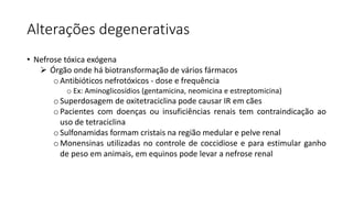 Alterações degenerativas
• Nefrose tóxica exógena
 Órgão onde há biotransformação de vários fármacos
oAntibióticos nefrotóxicos - dose e frequência
o Ex: Aminoglicosídios (gentamicina, neomicina e estreptomicina)
oSuperdosagem de oxitetraciclina pode causar IR em cães
oPacientes com doenças ou insuficiências renais tem contraindicação ao
uso de tetraciclina
oSulfonamidas formam cristais na região medular e pelve renal
oMonensinas utilizadas no controle de coccidiose e para estimular ganho
de peso em animais, em equinos pode levar a nefrose renal
 