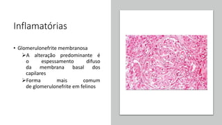 Inflamatórias
• Glomerulonefrite membranosa
A alteração predominante é
o espessamento difuso
da membrana basal dos
capilares
Forma mais comum
de glomerulonefrite em felinos
 