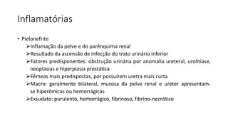 Inflamatórias
• Pielonefrite
Inflamação da pelve e do parênquima renal
Resultado da ascensão de infecção do trato urinário inferior
Fatores predisponentes: obstrução urinária por anomalia ureteral, urolitíase,
neoplasias e hiperplasia prostática
Fêmeas mais predispostas, por possuírem uretra mais curta
Macro: geralmente bilateral, mucosa da pelve renal e ureter apresentam-
se hiperêmicas ou hemorrágicas
Exsudato: purulento, hemorrágico, fibrinoso, fibrino-necrótico
 