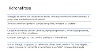 Hidronefrose
Dilatação da pelve e dos cálices renais devido à obstrução do fluxo urinário associada à
progressiva atrofia do parênquima renal
A obstrução urinária pode ser completa ou parcial, unilateral ou bilateral
Causas mais comuns: cálculos urinários, hiperplasia prostática, inflamações (prostatite,
ureterites, uretrites), neoplasias
Qualquer obstrução do trato urinário pode causar hidronefrose
Macro: dilatação progressiva da pelve e dos cálices renais, medular fica mais delgada,
estágio crônico o rim apresenta-se semelhante a um “saco” com paredes delgada
 