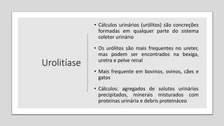 Urolitíase
• Cálculos urinários (urólitos) são concreções
formadas em qualquer parte do sistema
coletor urinário
• Os urólitos são mais frequentes no ureter,
mas podem ser encontrados na bexiga,
uretra e pelve renal
• Mais frequente em bovinos, ovinos, cães e
gatos
• Cálculos: agregados de solutos urinários
precipitados, minerais misturados com
proteínas urinária e debris proteináceo
 