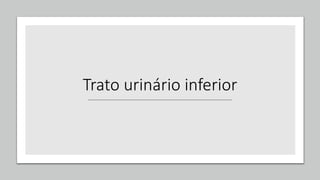 Trato urinário inferior
 