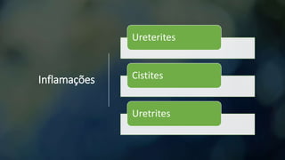 Inflamações
Ureterites
Cistites
Uretrites
 