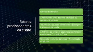 Fatores
predisponentes
da cistite
Fimbrias bacterianas
A retenção de urina devido à obstrução ou
causas neurogênicas
Traumatismo causado por cálculos e passagem
inadequada de sonda
A hidrólise da uréia por bactérias produtoras de
urease como C. renale e C. suis
Glicosúria - enfisema da bexiga – fermentação
da glicose
 