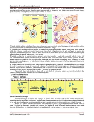 Carlos Maurício G. - e-mail: mauriciogrib@yahoo.com.br
UNIPLI - Medicina Veterinária - 2009 Página 2
ótimo para a fusão ou internalização por endocitose e de temperaturas próximas a 37°C. Os vírus envelopados e não-envelopados
encontram problemas físico-químicos diferentes durante sua penetração na célula e por isso, utilizam mecanismos diferentes. Existem
quatro mecanismos básicos pelos quais os vírus podem penetrar nas células:
1) Injeção do ácido nucléico: muitos bacteriófagos desenvolveram um mecanismo através do qual são capazes de injetar seu ácido nucléico
através da parede celular da bactéria, bem como da membrana citoplasmática contígua.
2) Endocitose: outro mecanismo conhecido, através do qual estruturas protéicas relativamente grandes, como vírions, podem entrar na
célula, é a endocitose mediada por receptor. Este processo é semelhante à fagocitose; os vírus, após sua ligação ao receptor, são
englobados pela membrana plasmática, ficando no interior de vesículas nas células. Estas vesículas podem fundir com endossomas, para
posterior digestão do capsídeo viral, liberando o ácido nucléico.
3) Fusão do envelope viral: um terceiro mecanismo, que ocorre para vírus envelopados, é resultante do processo de fusão do envelope viral
com a membrana celular, liberando o nucleocapsídeo no interior da célula. Muito vírus contém em seu envelope, proteínas de fusão,
ativadas quando ocorre ligação do vírus ao receptor celular. Pode haver ainda uma combinação destes dois últimos mecanismos, de forma
que os vírus envelopados penetrem por endocitose e, uma vez dentro dos vacúolos, o envelope viral sofra um processo de fusão com a
membrana do vacúolo.
4) Viropexia (translocação): um outro processo, que foi observado, especialmente com o poliovírus, envolve a passagem do vírus através
da membrana celular, sem presença do mecanismo de endocitose. Após ligação do poliovírus ao receptor, uma das proteínas do capsídeo
é liberada, expondo resíduos hidrofóbicos, que normalmente estão no interior do vírus. A interação destes resíduos com a membrana pode
gerar o aparecimento de poros, através do qual o RNA viral é introduzido no citoplasma da célula.
A penetração dos vírus de plantas nas células pode ser feita através de vetores, que colocam os vírus diretamente dentro das
células, ou por mecanismos de endocitose, através da membrana celular.
2.3. Desnudamento ou liberação
Consiste na remoção do capsídeo com exposição do genoma viral e só ocorre quando o vírion penetra inteiro na célula,
geralmente na forma de complexo nucleoprotéico. A desagregação das subunidades protéicas do capsídeo pode ocorrer espontaneamente
ou por ação de enzimas digestivas dos lisossomos celulares. Após o desnudamento, o vírion deixa de existir como entidade infecciosa.
Para os vírus que são replicados no citoplasma, como por exemplo, o poliovirus, o genoma é simplesmente liberado dentro da
célula. Outros não são desnudados totalmente, pois o genoma só é expresso se estiver parcialmente revestido (reovirus); outros ainda
(poxvirus) são desnudados em dois estágios: o primeiro com participação de enzimas celulares e o segundo com enzimas virais.
 
